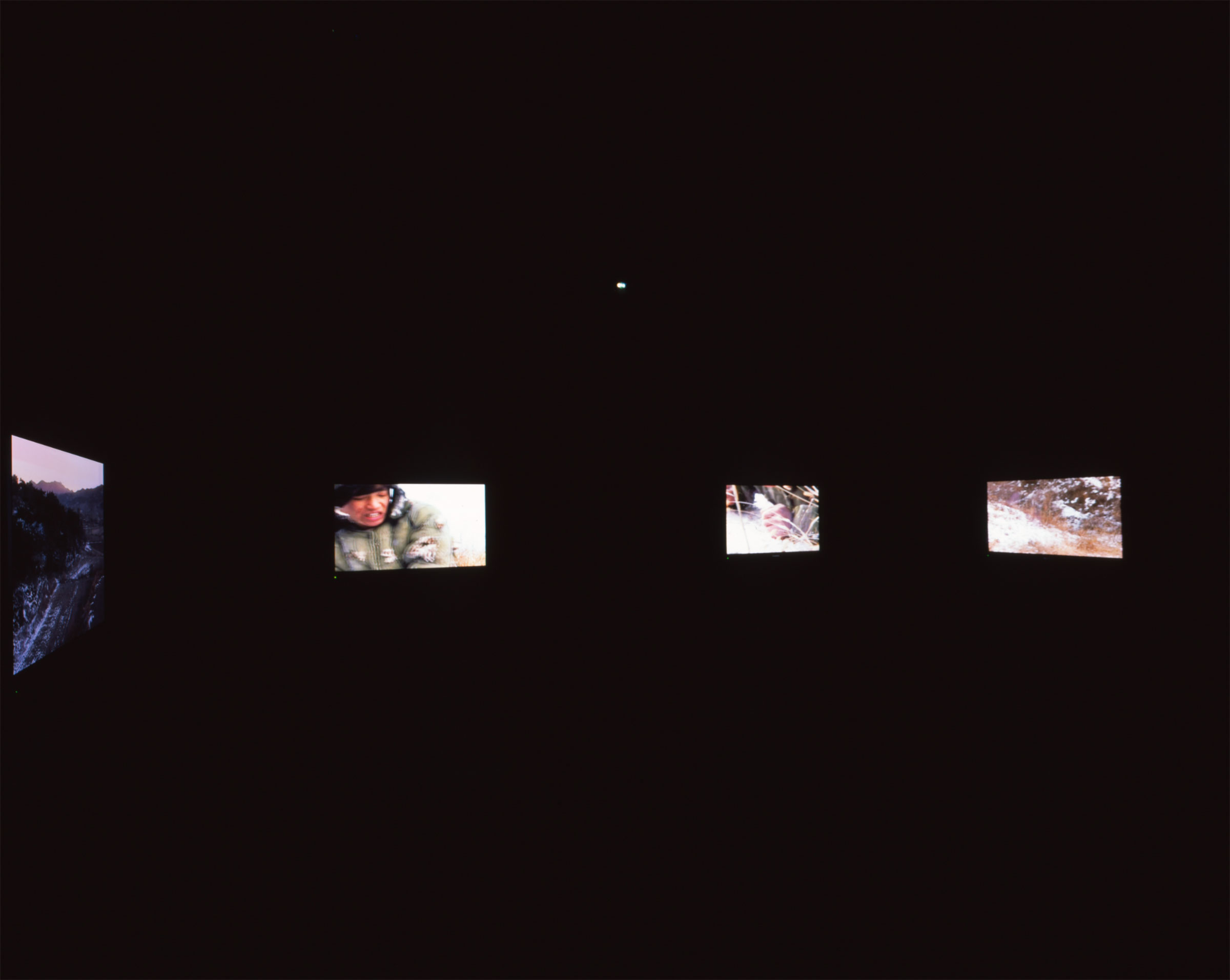Yang Fudong, Dengdai she de suxing / Waiting for the Snake to Wake Up, 2005
